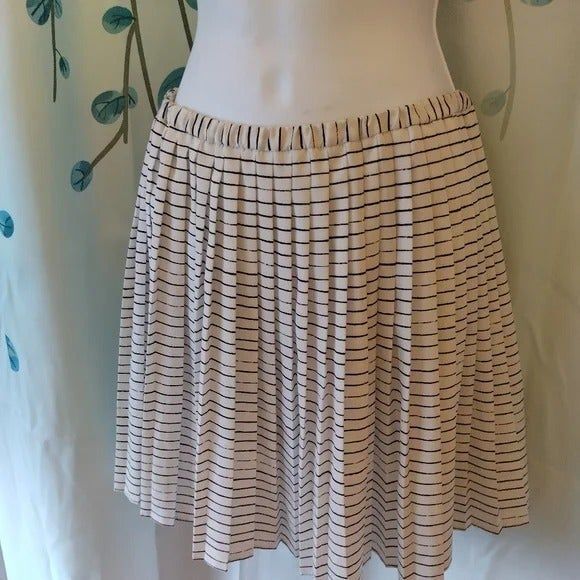 Banana Republic - White Pleated Striped Knee-Length Skirt - Size Small - Picture 1 of 2